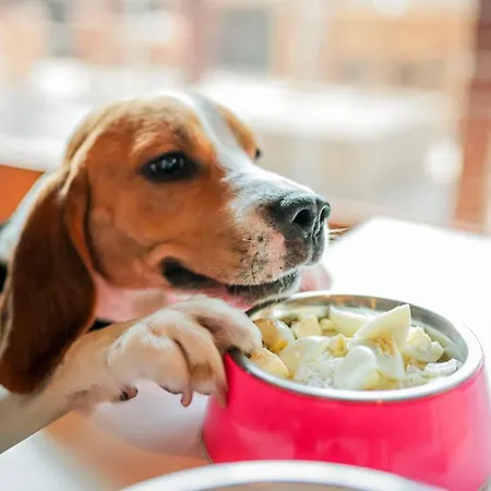 Unisotel Parc Des Exposition Ex F1 Hotel