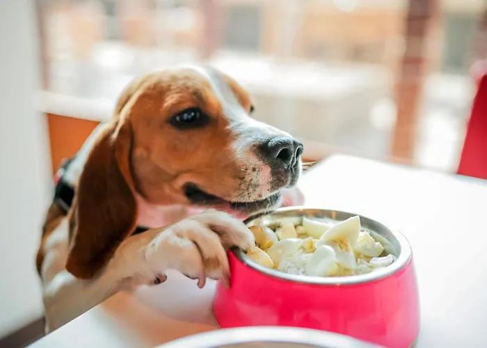 Unisotel Parc Des Exposition Ex F1 Готель